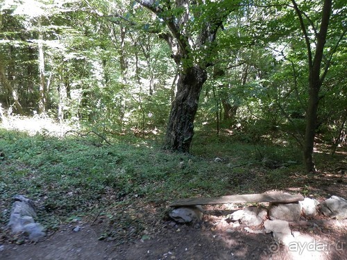 На лошади по окрестностям Ялты