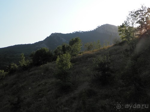 На лошади по окрестностям Ялты