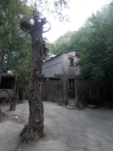 На лошади по окрестностям Ялты