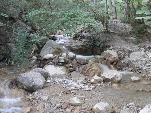 На лошади по окрестностям Ялты