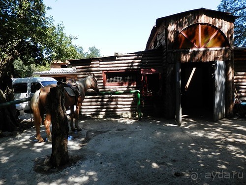 На лошади по окрестностям Ялты