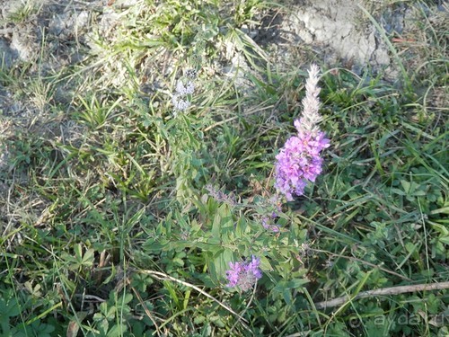 На лошади по окрестностям Ялты