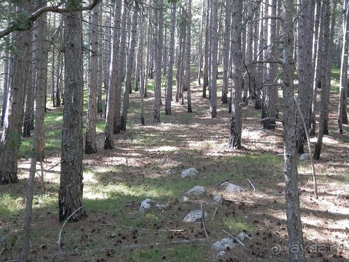 На лошади по окрестностям Ялты