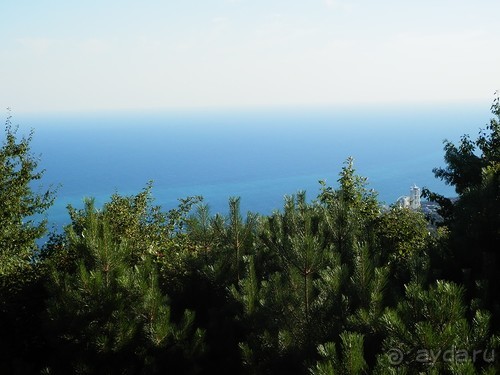 На лошади по окрестностям Ялты