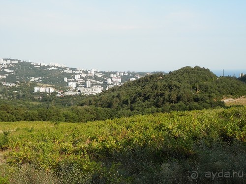 На лошади по окрестностям Ялты