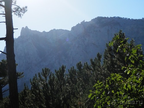 На лошади по окрестностям Ялты