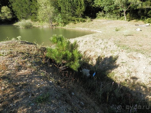 На лошади по окрестностям Ялты