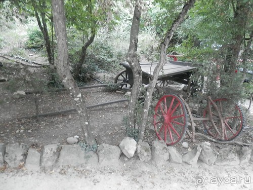 На лошади по окрестностям Ялты