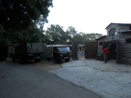 На лошади по окрестностям Ялты