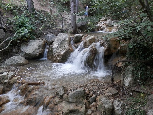 На лошади по окрестностям Ялты