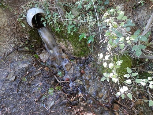 На лошади по окрестностям Ялты