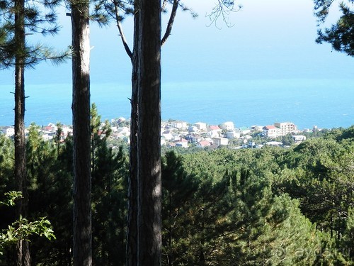 На лошади по окрестностям Ялты