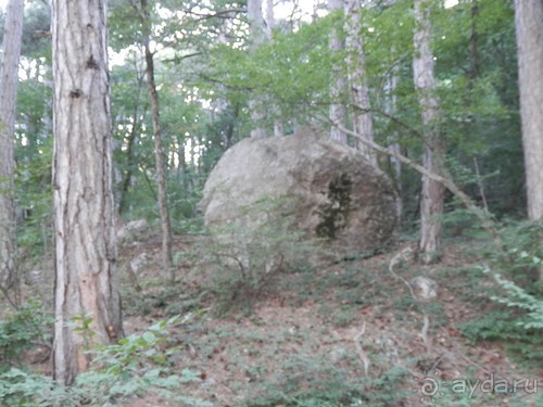 На лошади по окрестностям Ялты