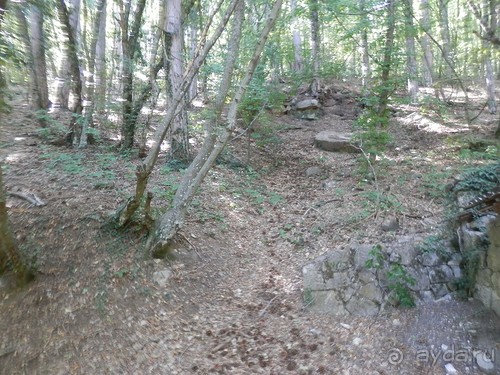 На лошади по окрестностям Ялты