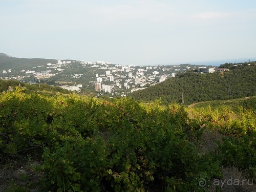 На лошади по окрестностям Ялты