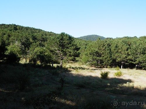 На лошади по окрестностям Ялты