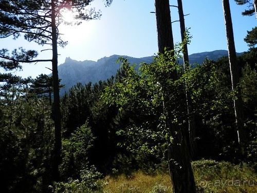 На лошади по окрестностям Ялты