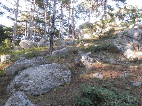 На лошади по окрестностям Ялты