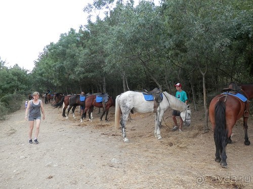 На лошади по окрестностям Ялты