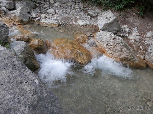 На лошади по окрестностям Ялты