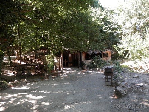 На лошади по окрестностям Ялты