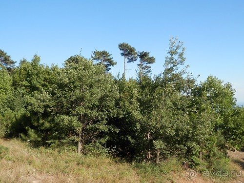 На лошади по окрестностям Ялты