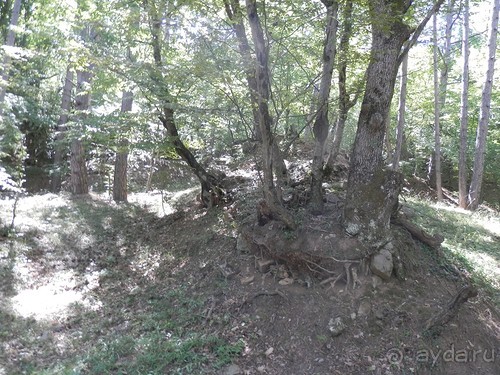 На лошади по окрестностям Ялты