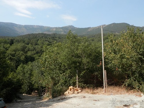 На лошади по окрестностям Ялты