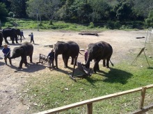Таиланд, день шестой и дальше - море. Отдыхаем дальше...