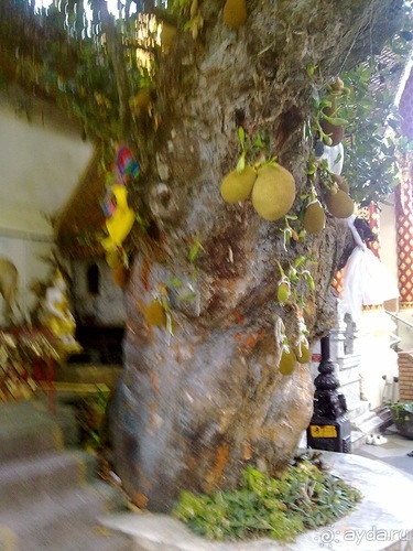 Таиланд, день шестой и дальше - море. Отдыхаем дальше...