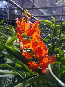 Таиланд, день шестой и дальше - море. Отдыхаем дальше...