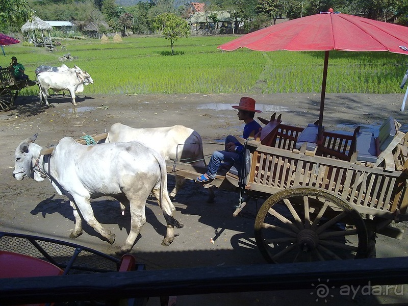 Таиланд, день шестой и дальше - море. Отдыхаем дальше...