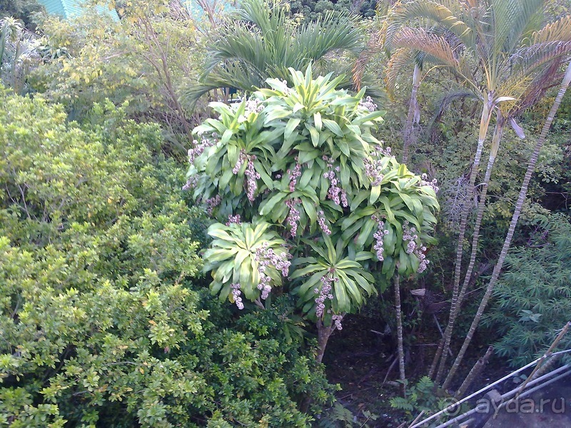 Таиланд, день шестой и дальше - море. Отдыхаем дальше...