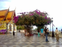 Таиланд, день шестой и дальше - море. Отдыхаем дальше...