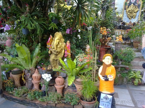 Таиланд, день шестой и дальше - море. Отдыхаем дальше...