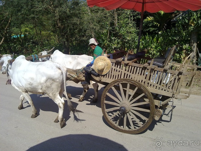 Таиланд, день шестой и дальше - море. Отдыхаем дальше...