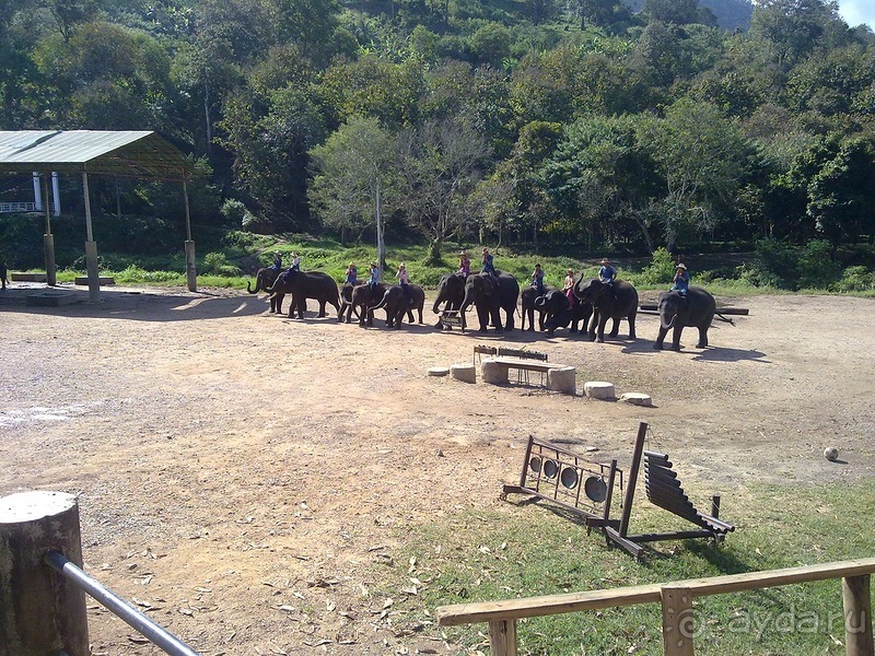 Таиланд, день шестой и дальше - море. Отдыхаем дальше...