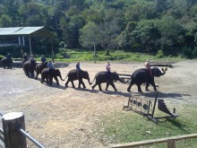 Таиланд, день шестой и дальше - море. Отдыхаем дальше...