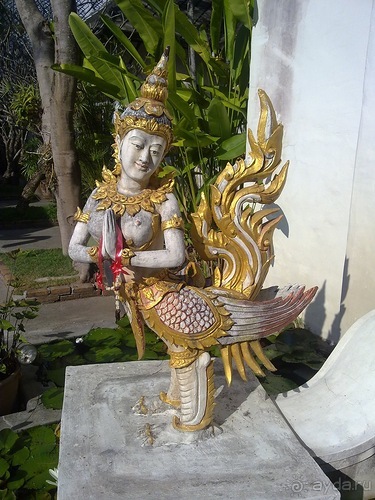 Таиланд, день шестой и дальше - море. Отдыхаем дальше...