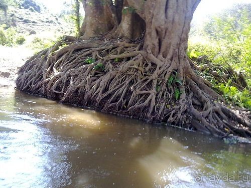Таиланд, день шестой и дальше - море. Отдыхаем дальше...