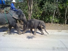Таиланд, день шестой и дальше - море. Отдыхаем дальше...