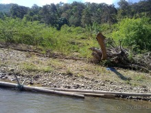 Таиланд, день шестой и дальше - море. Отдыхаем дальше...