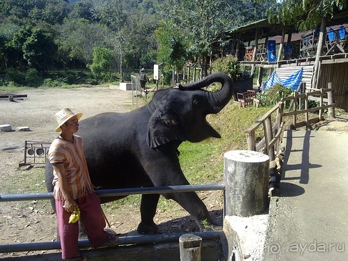 Таиланд, день шестой и дальше - море. Отдыхаем дальше...