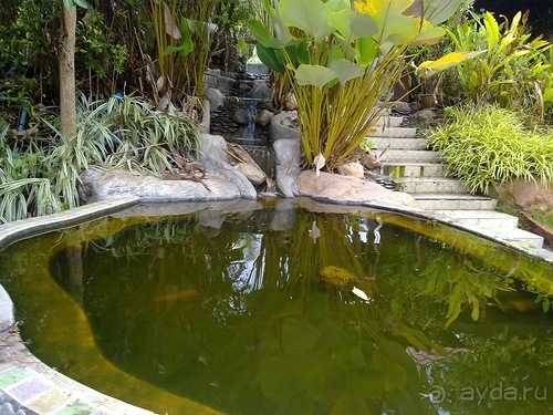 Таиланд, день шестой и дальше - море. Отдыхаем дальше...