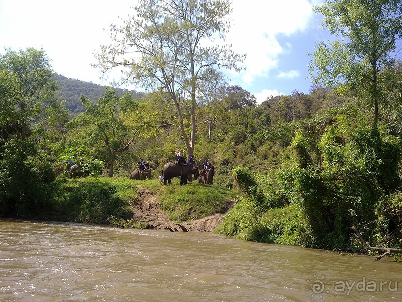 Таиланд, день шестой и дальше - море. Отдыхаем дальше...