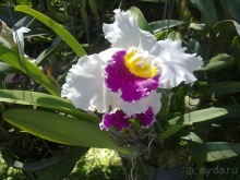 Таиланд, день шестой и дальше - море. Отдыхаем дальше...