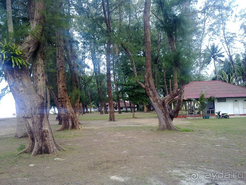 Таиланд, день шестой и дальше - море. Отдыхаем дальше...