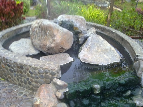 Таиланд, день шестой и дальше - море. Отдыхаем дальше...