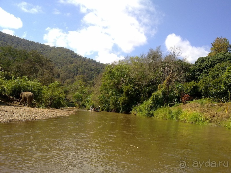 Таиланд, день шестой и дальше - море. Отдыхаем дальше...