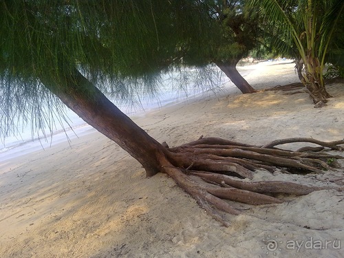 Таиланд, день шестой и дальше - море. Отдыхаем дальше...